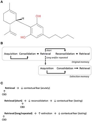 Cannabidiol Regulation of Learned Fear: Implications for Treating Anxiety-Related Disorders